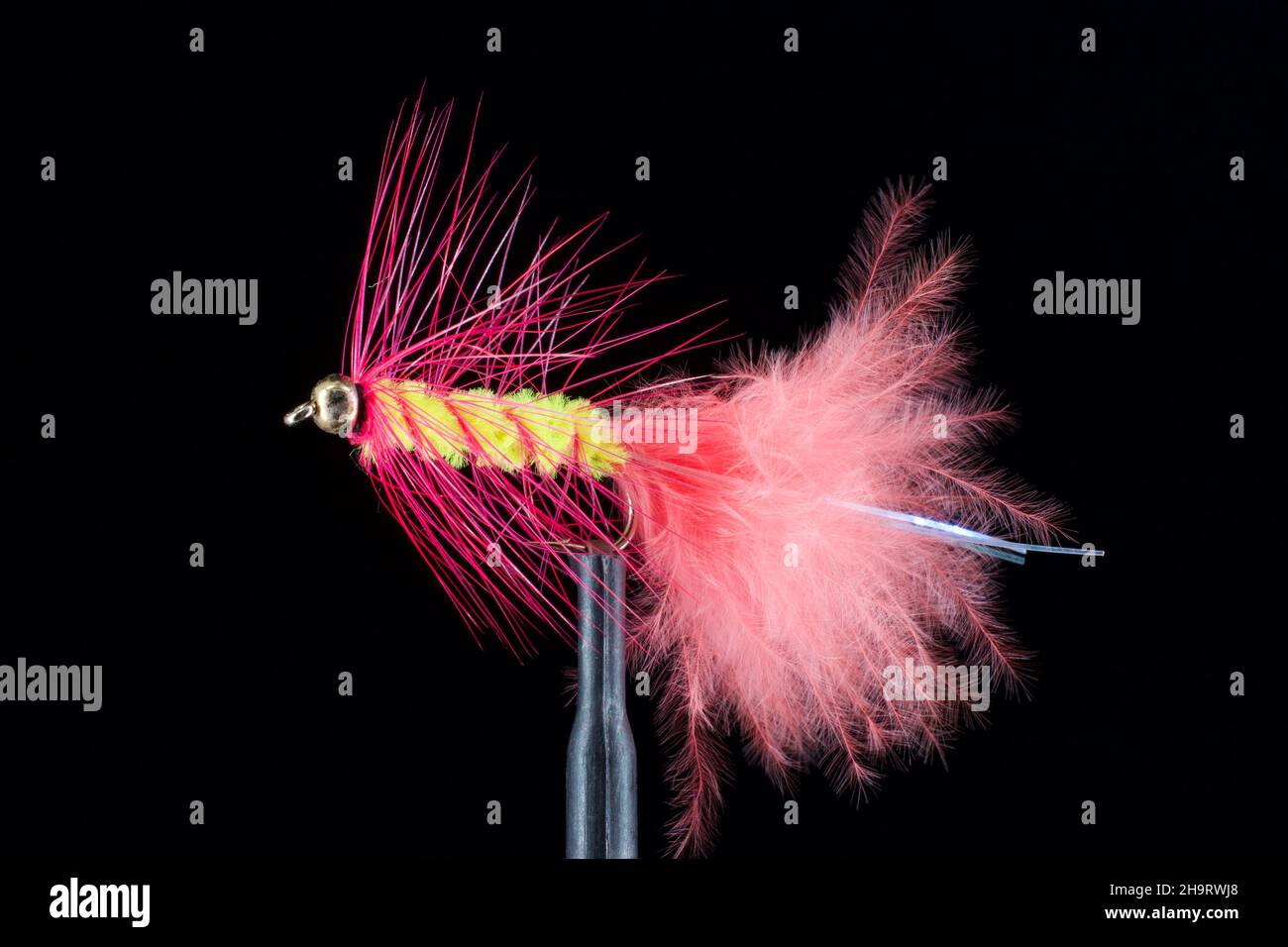 Fly Fishing Streamers Stock Photo Alamy