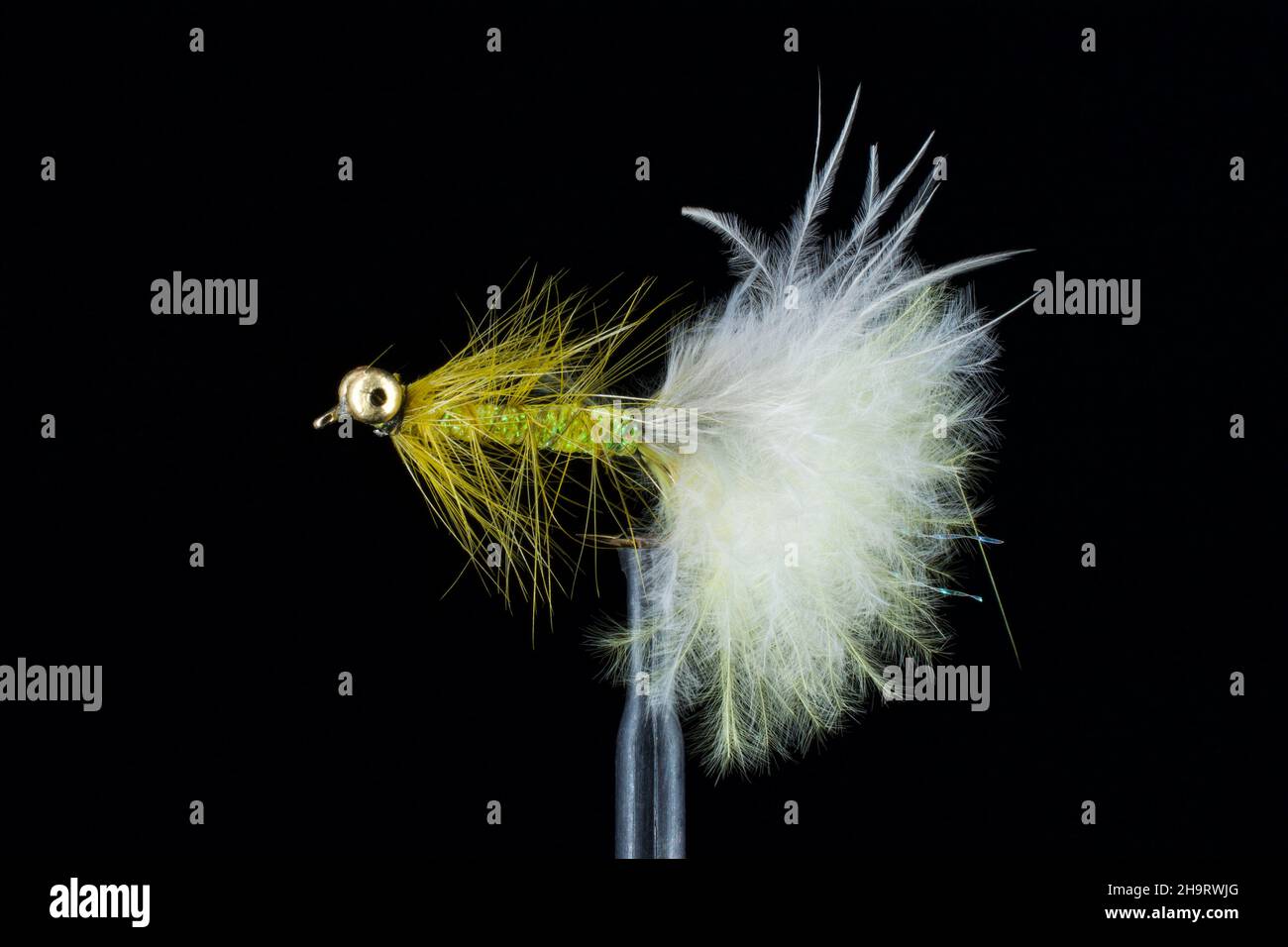 Fly Fishing Streamers Stock Photo - Alamy