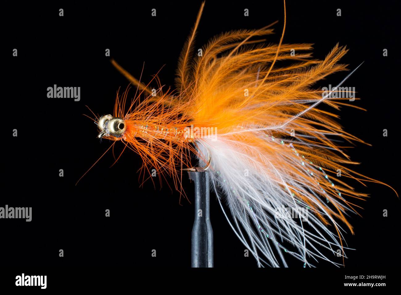 Fly Fishing Streamers Stock Photo Alamy