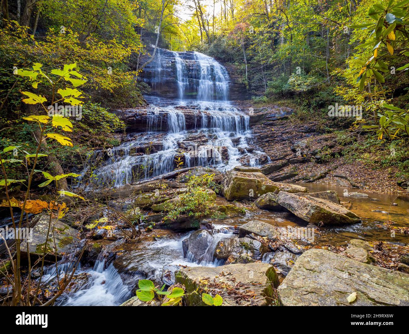 Waterfalls at Pearsons Waterfdall and Glen off NC Hwy. 176, between the