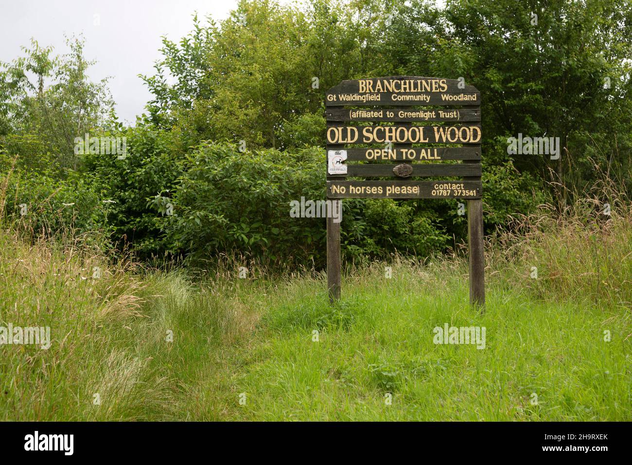 Branchlines community woodland, Old School Wood, Great Waldingfield, Suffolk, England, UK Stock Photo