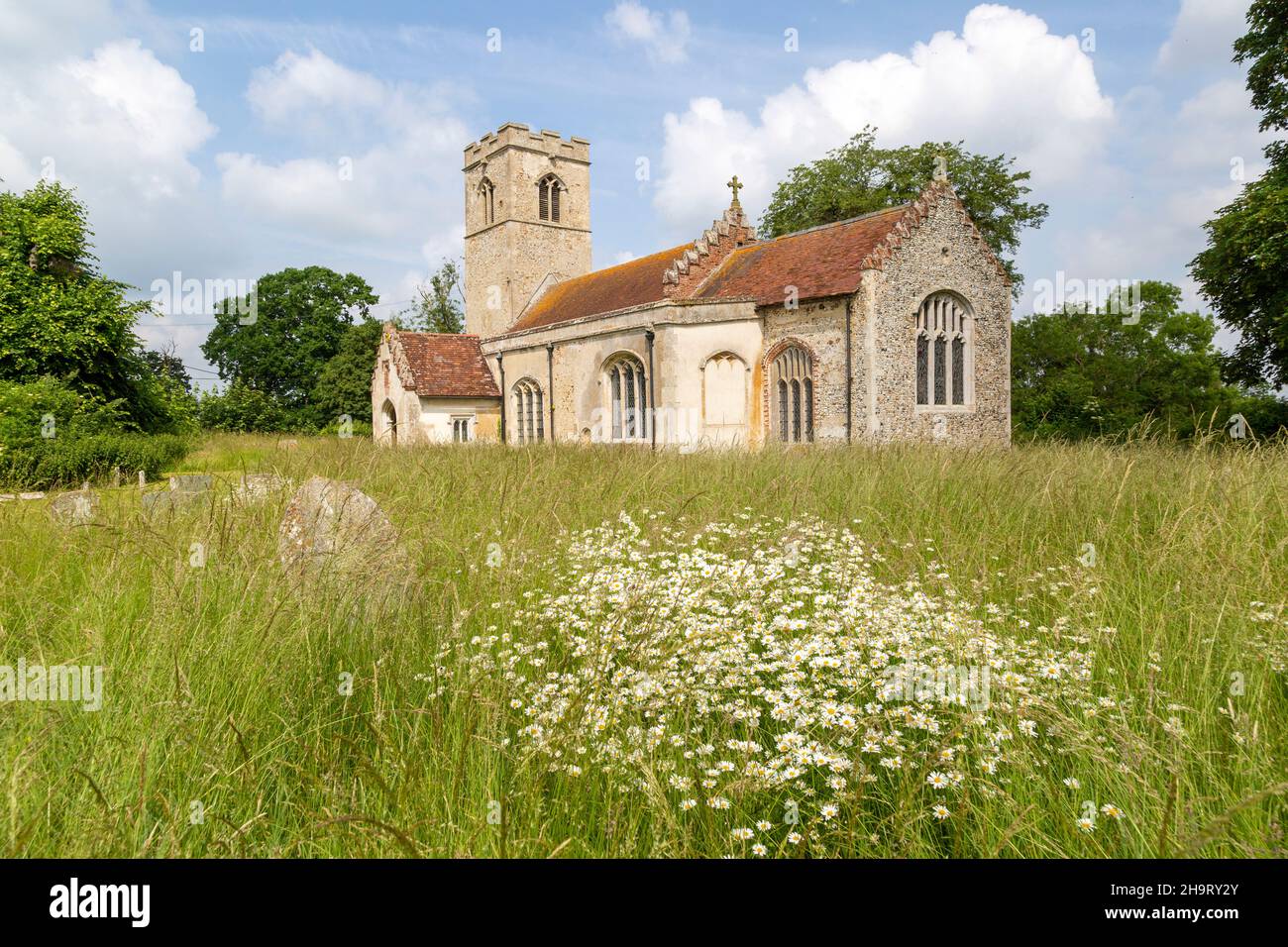 Village parish church of St Nicholas. Rushbrooke, Suffolk, England, UK wildflowers in churchyard Stock Photo