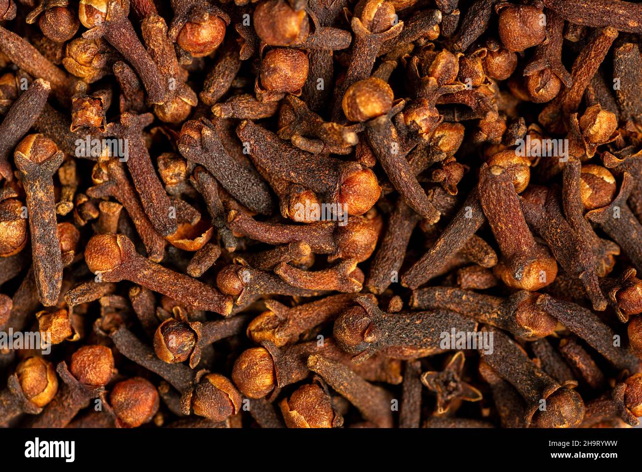 freshly dryed clove spice texture close up. Stock Photo
