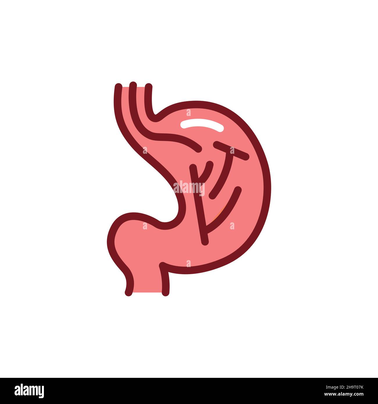 Endoscopy line icon. Isolated vector element. Stock Vector
