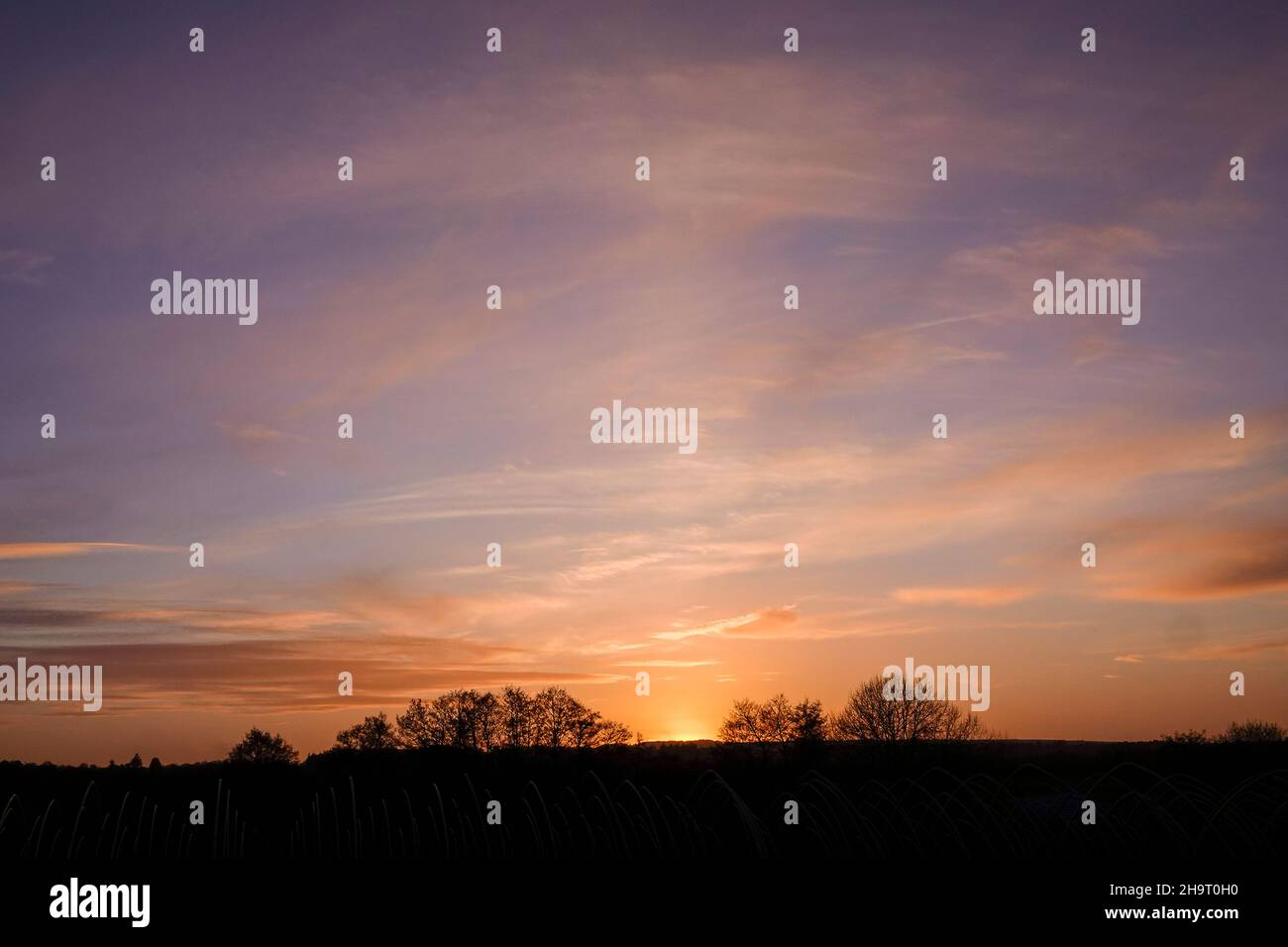 Tuesley Farm, Godalming. 08th December 2021. A cold but dry end to the day for the Home Counties. Sunset over Tuesley Farm in Godalming, Surrey. Credit: james jagger/Alamy Live News Stock Photo