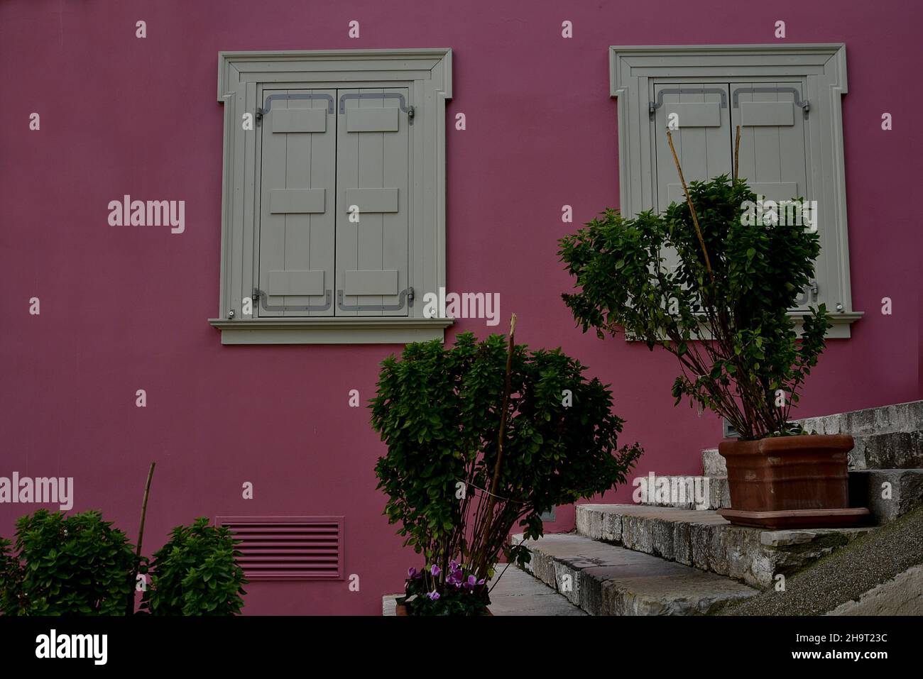 Neoclassical building facade with a bubble gum pink stucco wall, grey wooden window shutters and basil plants on the stone steps in Nafplio, Greece. Stock Photo