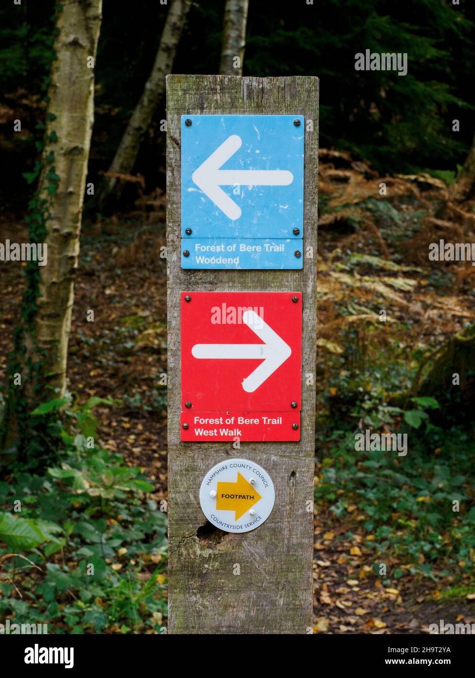 Trail markers at West Walk, Forest of Bere, Fareham, Hampshire, UK Stock Photo