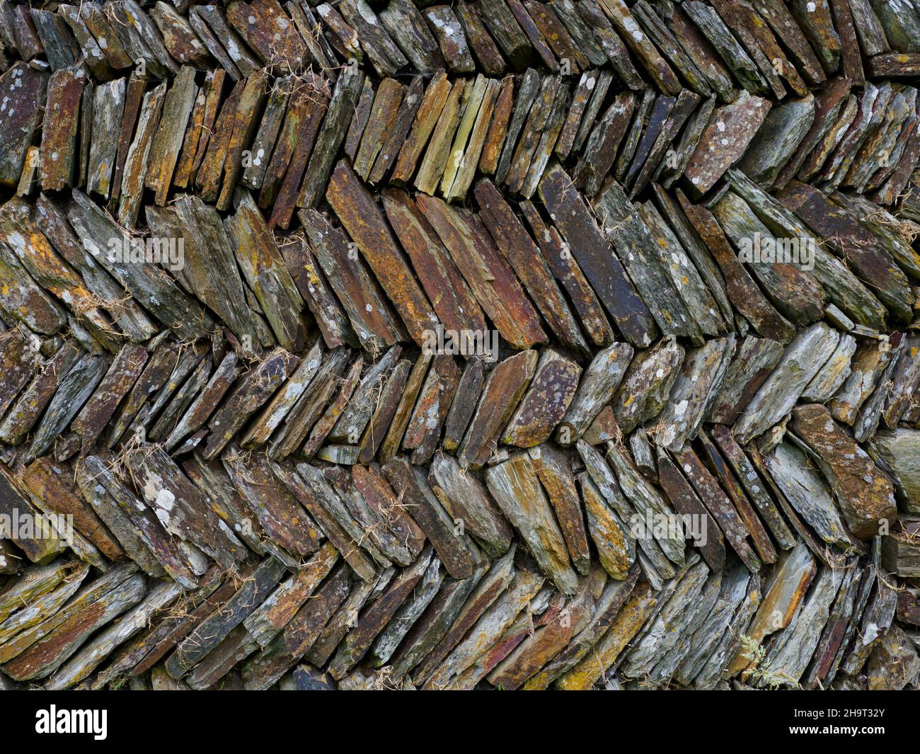 Jake wall hi-res stock photography and images - Alamy