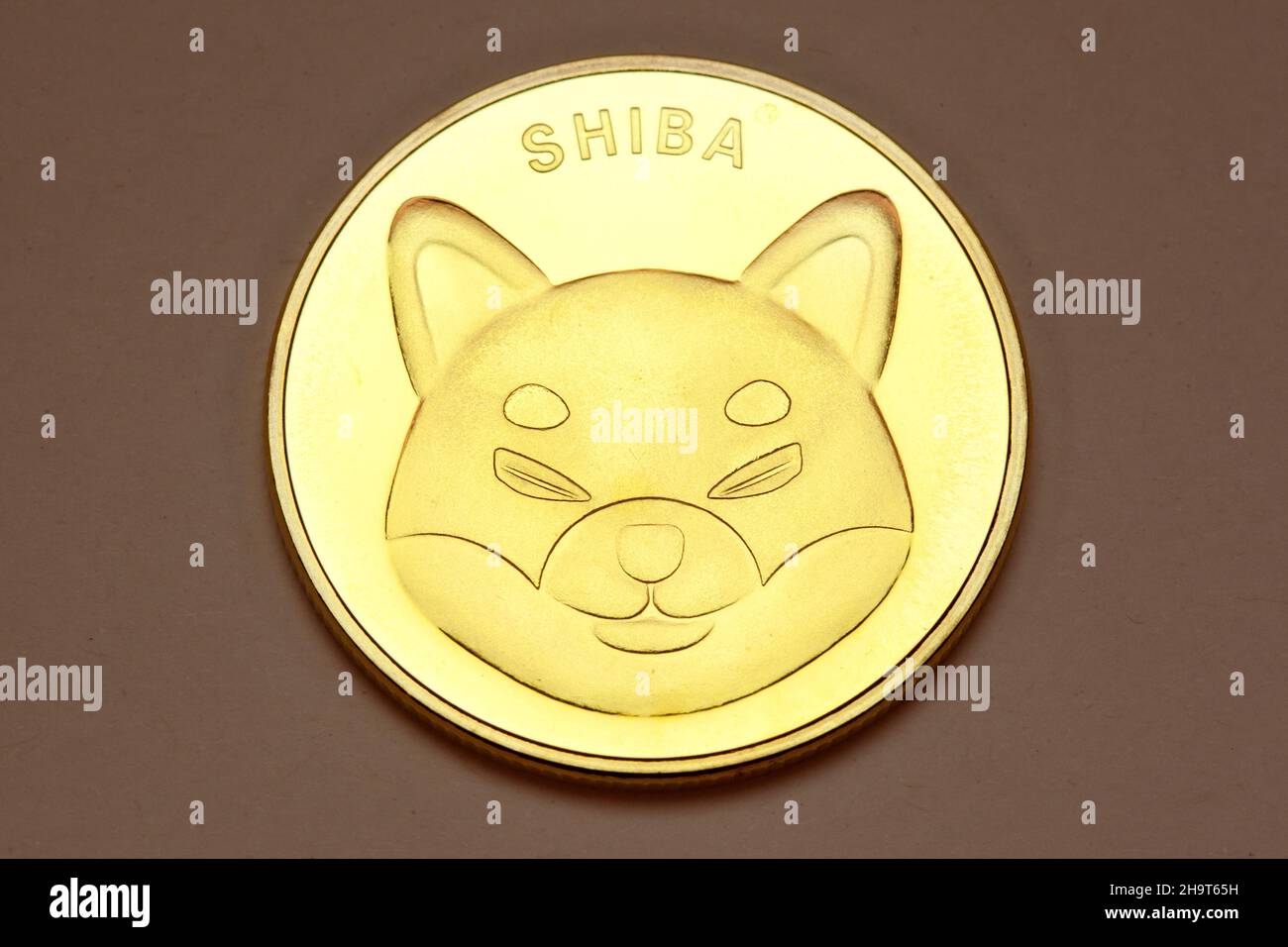 Shiba Inu cryptocurrency coin. Stock Photo