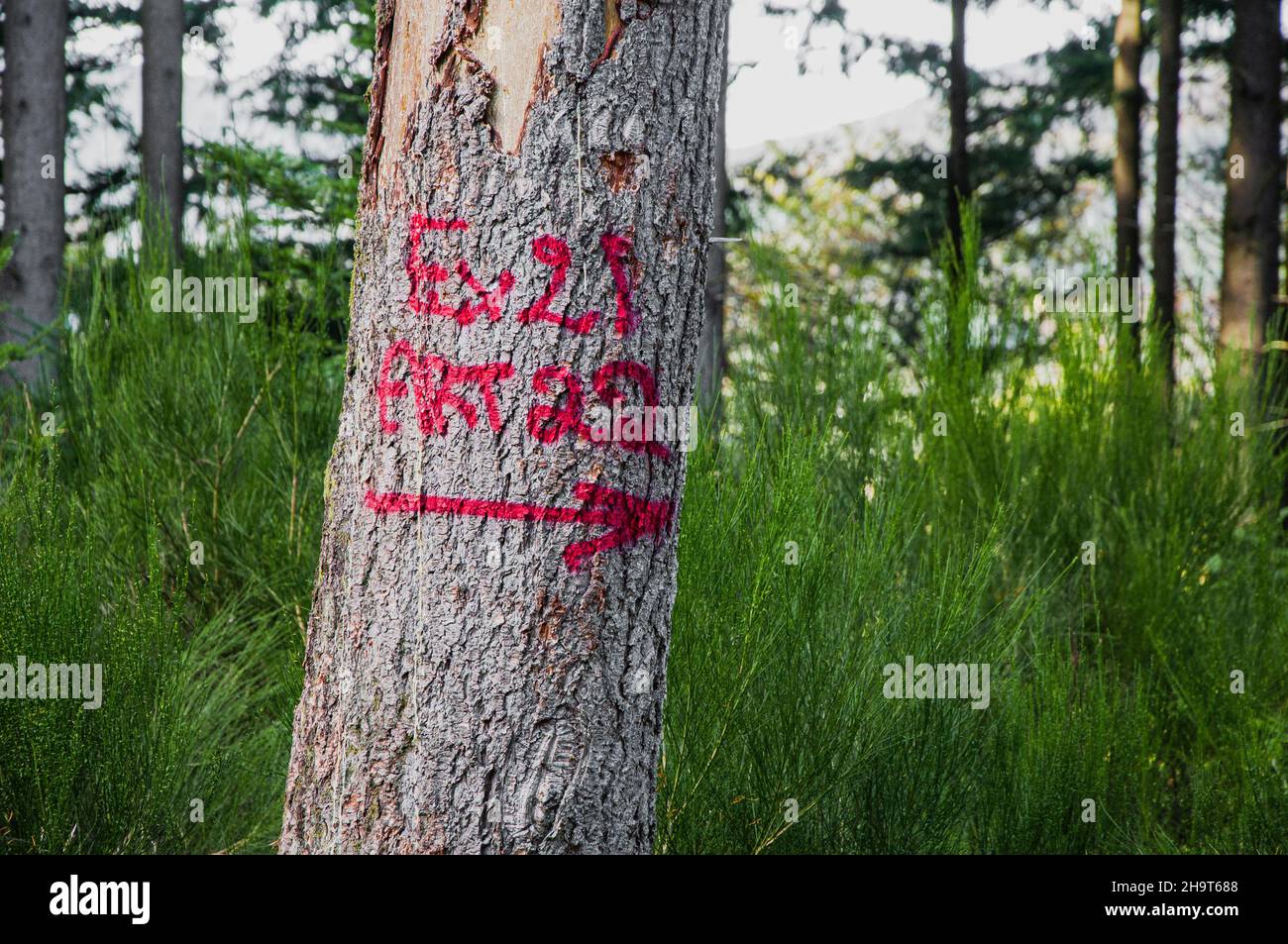 Signs on trees hi-res stock photography and images - Alamy