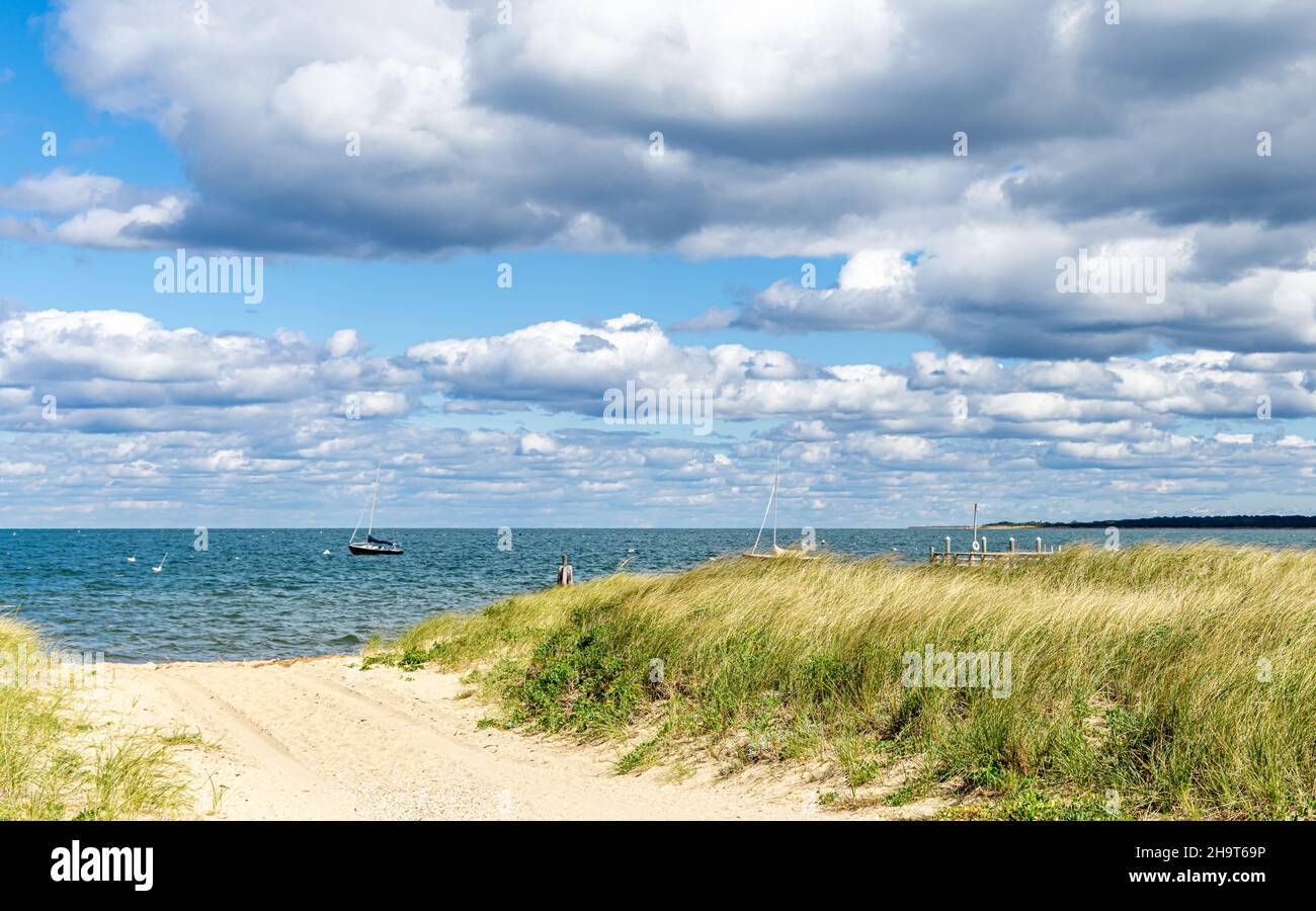Landscape with water in Amagansett, NY Stock Photo