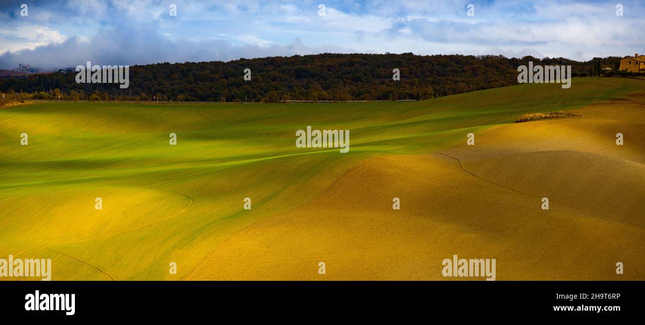 Typical rural fields and landscape in Tuscany Italy Stock Photo - Alamy