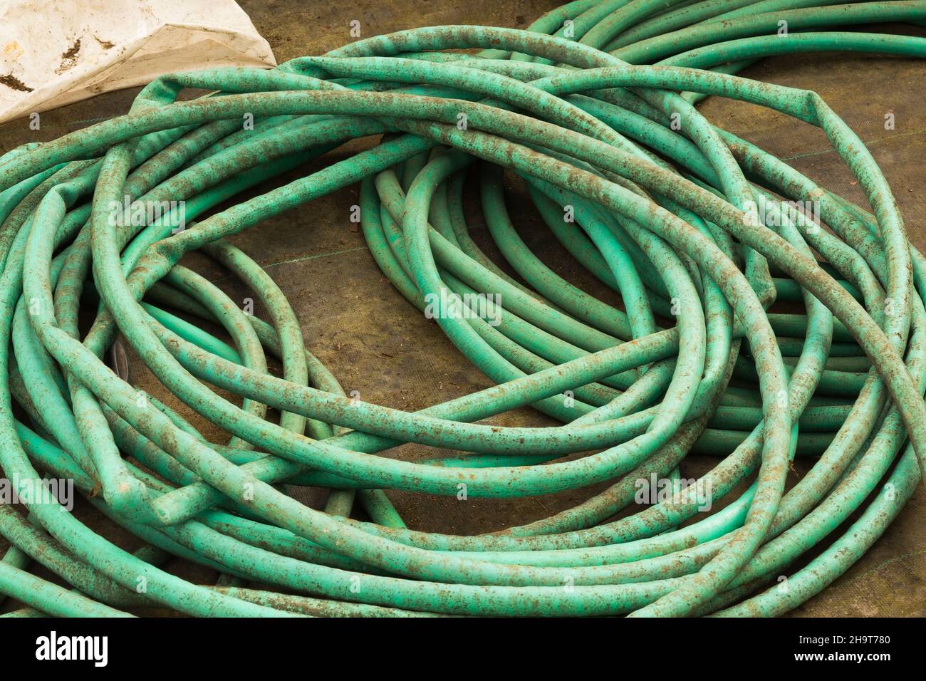 Coiled green rubber garden hoses with kinks. Stock Photo