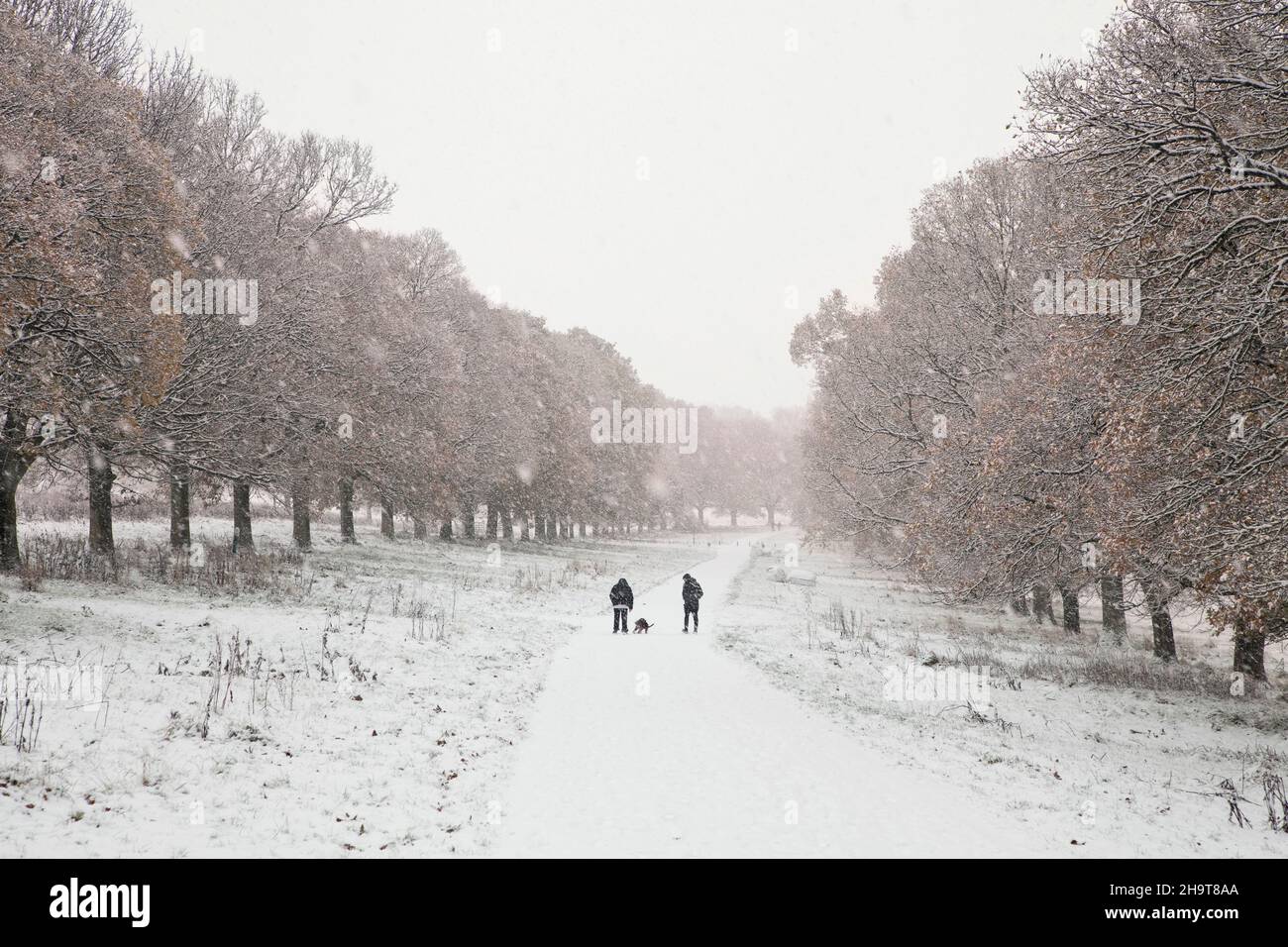 A footpath in Lowther park in the Lake District National Park in winter ...