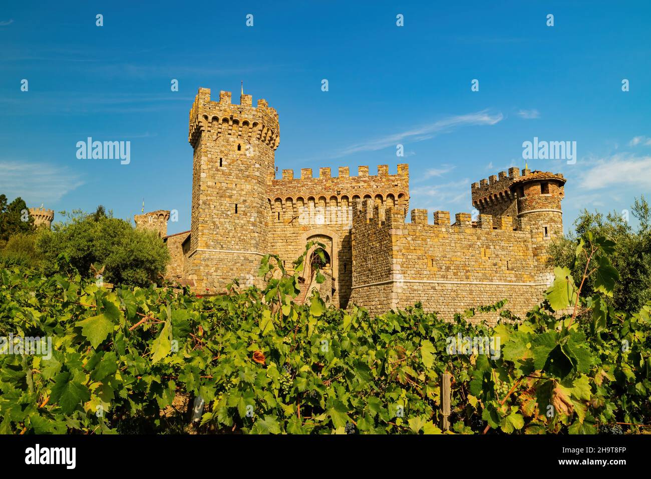 Sunny view of the 13th-century style Castello di Amorosa at Napa Valley ...