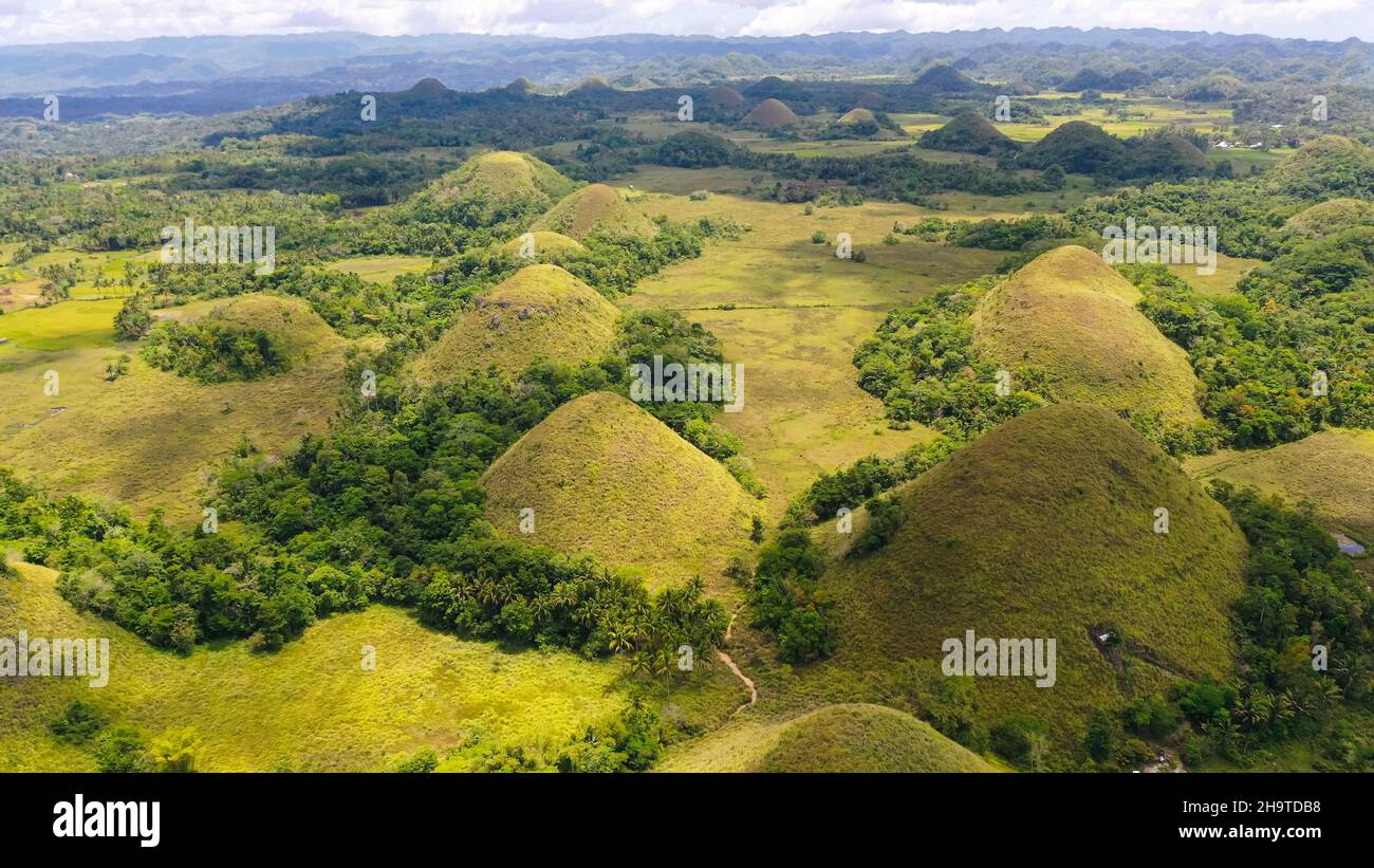 Chocolate Hills - one of the main attractions of the island of Bohol. Summer landscape in the Philippines. Stock Photo