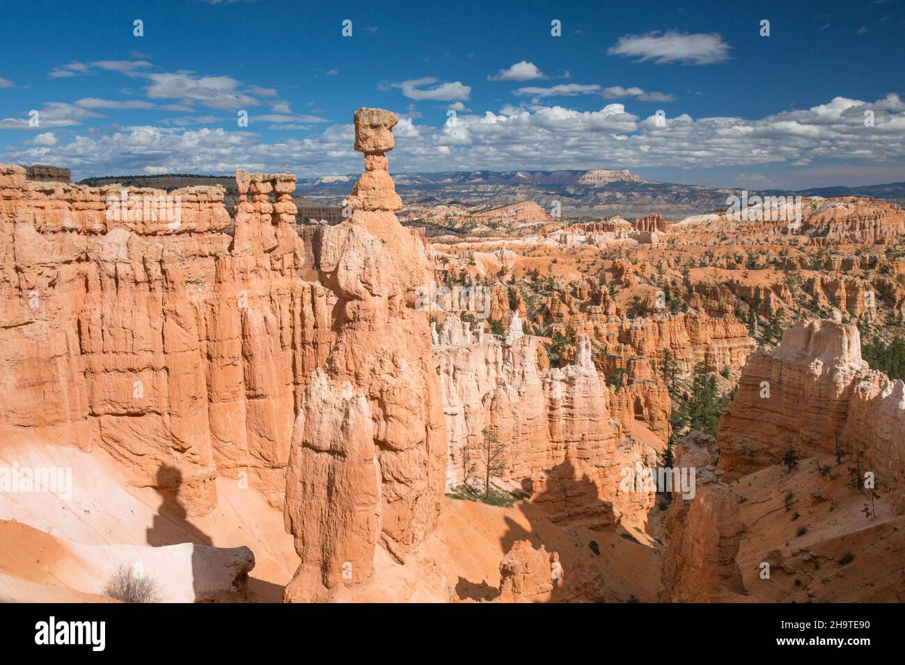 Bryce Canyon National Park, Utah, USA. View over the Queen's Garden from the Navajo Loop Trail below Sunset Point, Thor's Hammer prominent. Stock Photo