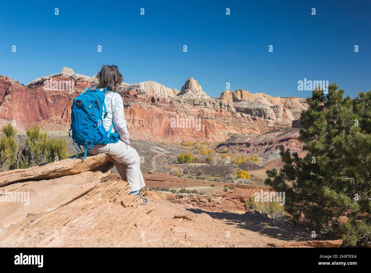 Fruita, Capitol Reef National Park, Utah, USA. Hiker on the Fremont River Trail admiring view over the village to the cliffs of the Waterpocket Fold. Stock Photo