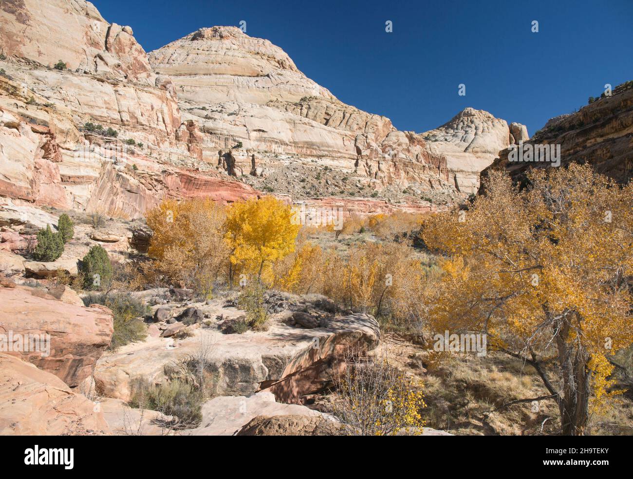 Torrey canyon hires stock photography and images Alamy