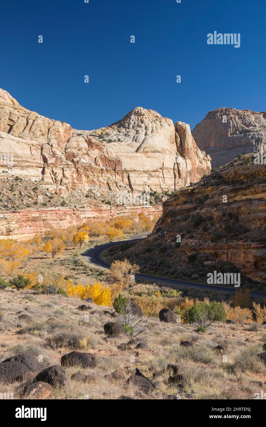 Fruita, Capitol Reef National Park, Utah, USA. View along the Fremont River Canyon from the Hickman Bridge Trail, autumn, cottonwood trees prominent. Stock Photo