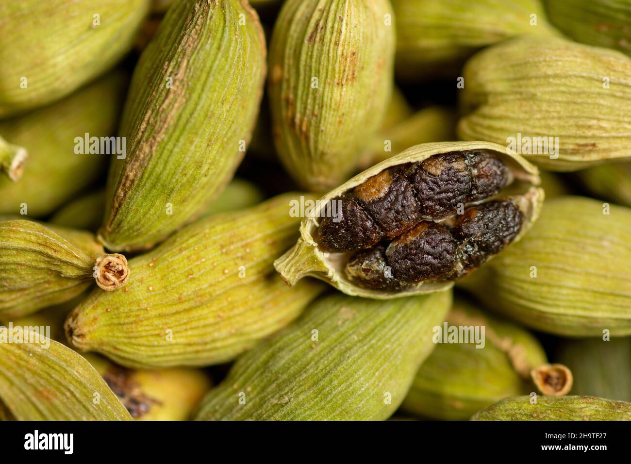 dried cardamom food background close up, top view Stock Photo