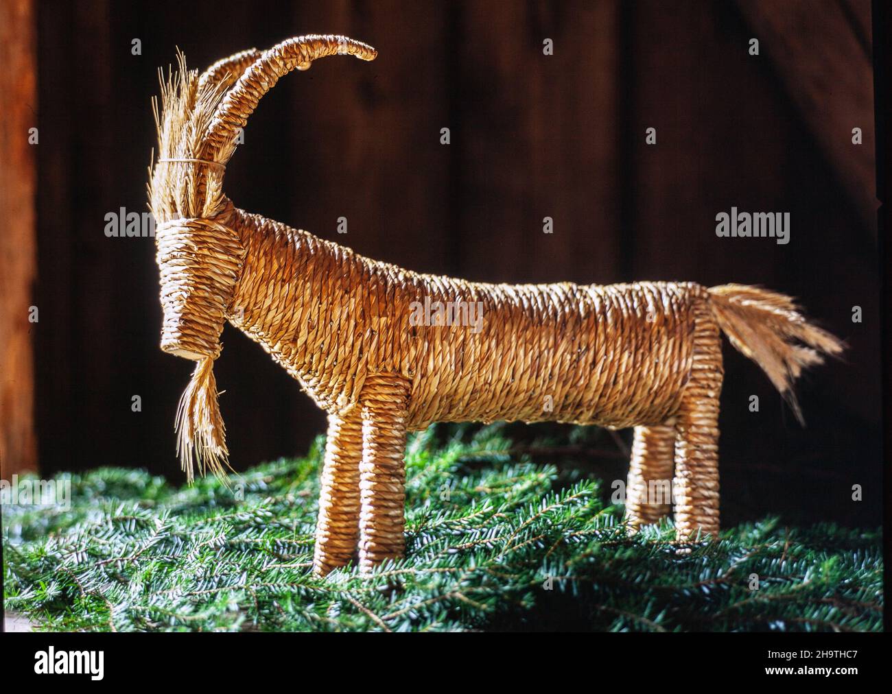 Traditional Swedish Chrismas Billy goat on spruce twigs Stock Photo