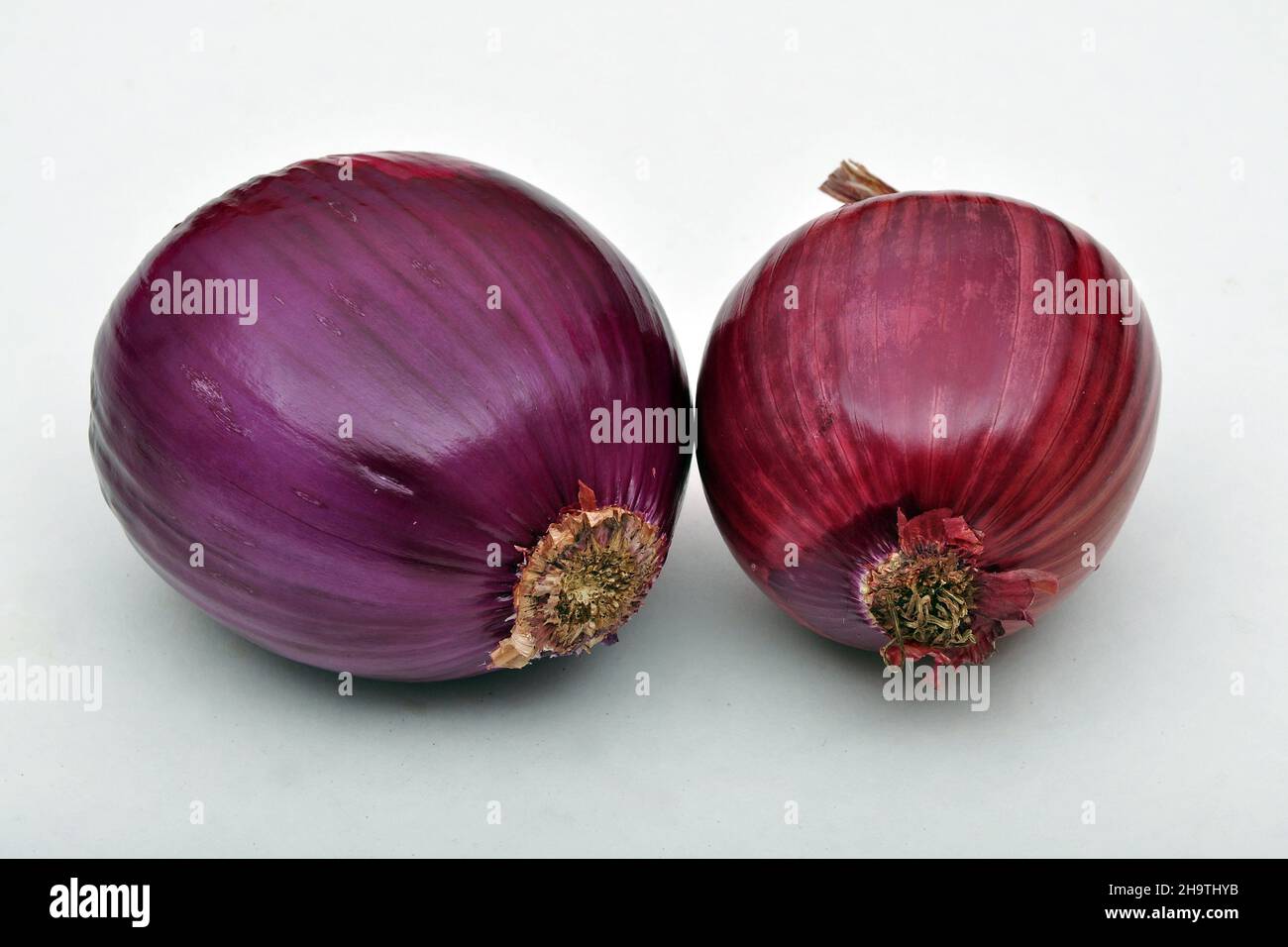 Garden onion, Bulb Onion, Common Onion (Allium cepa), red onions, cut-out Stock Photo