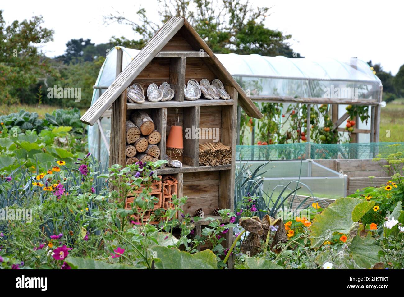 an insect hotel and a small greenhouse stand in a blooming garden , France, Brittany, Erquy Stock Photo