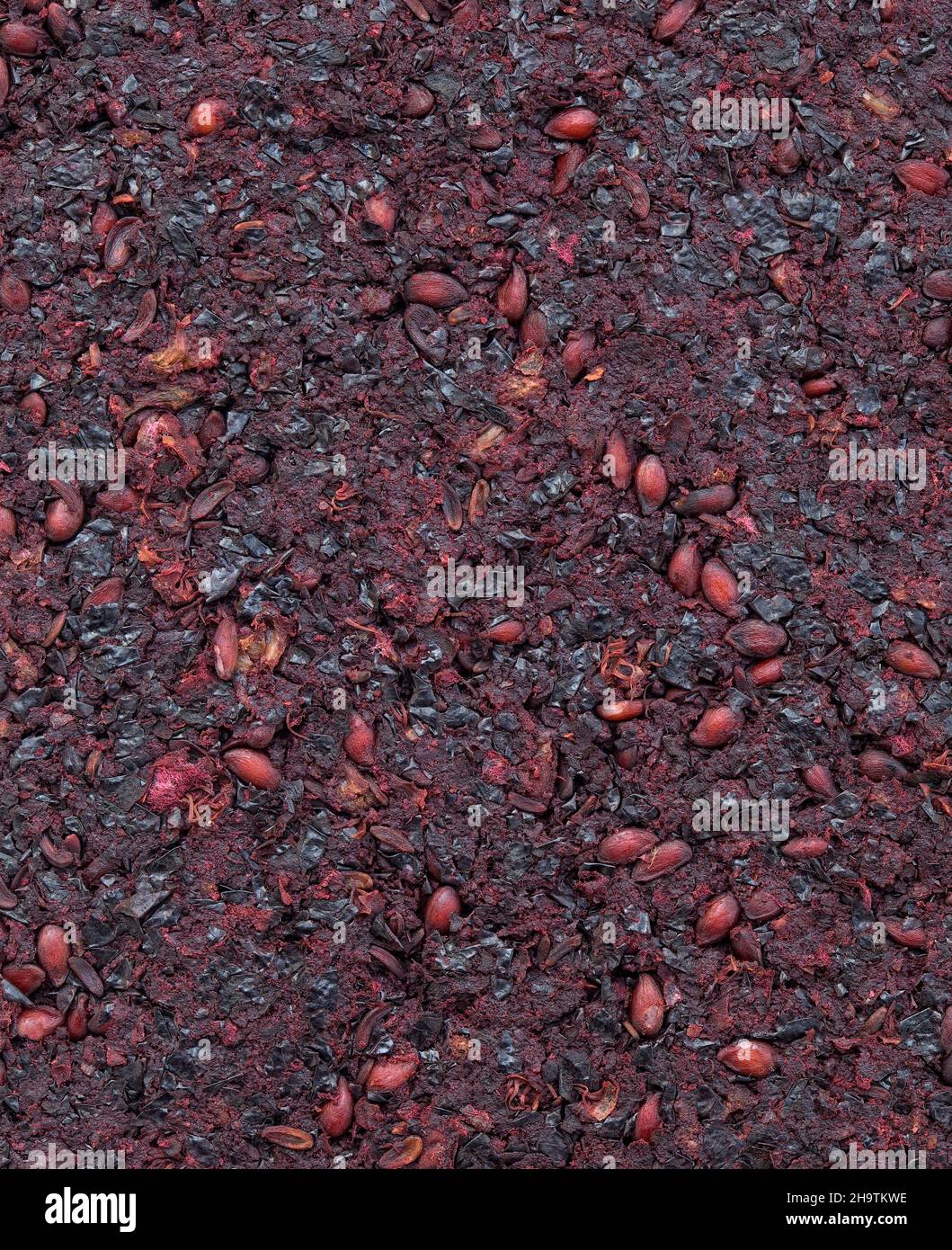 Mulched Aronia Squeezed Pellets Background Stock Photo