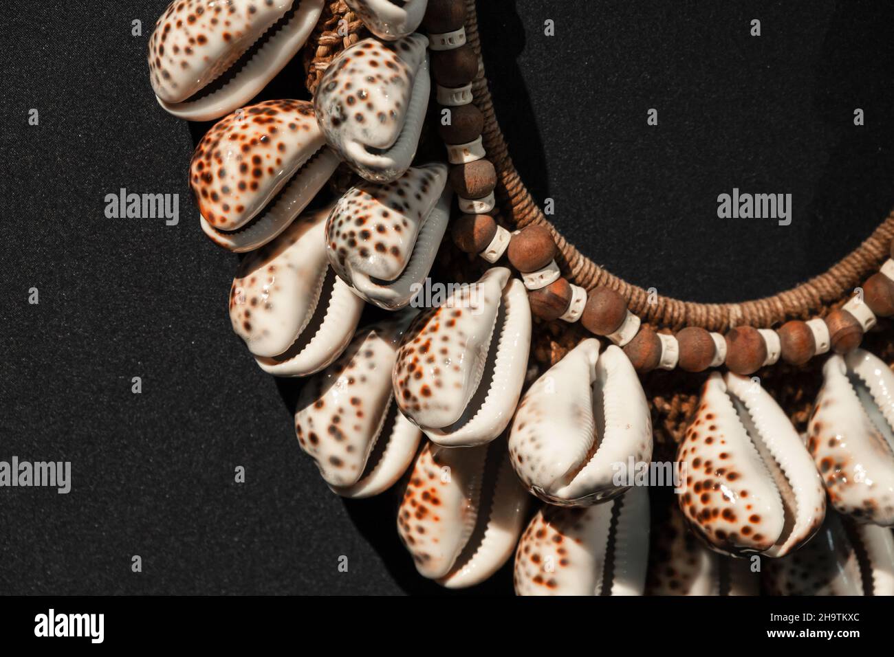 Necklace made sale of shells