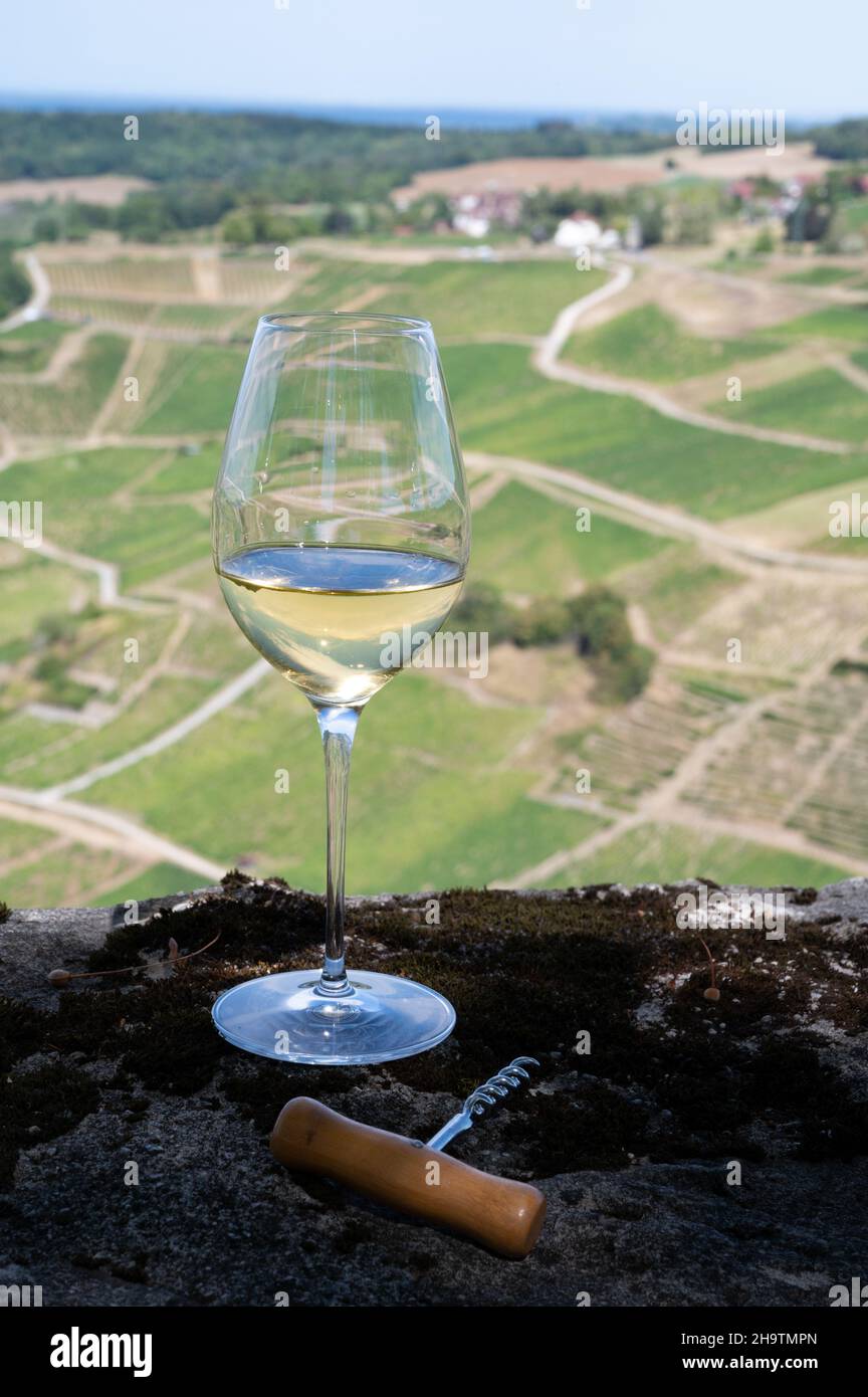 Outdoor tasting of white or jaune Jura wine on vineyards near Chateau