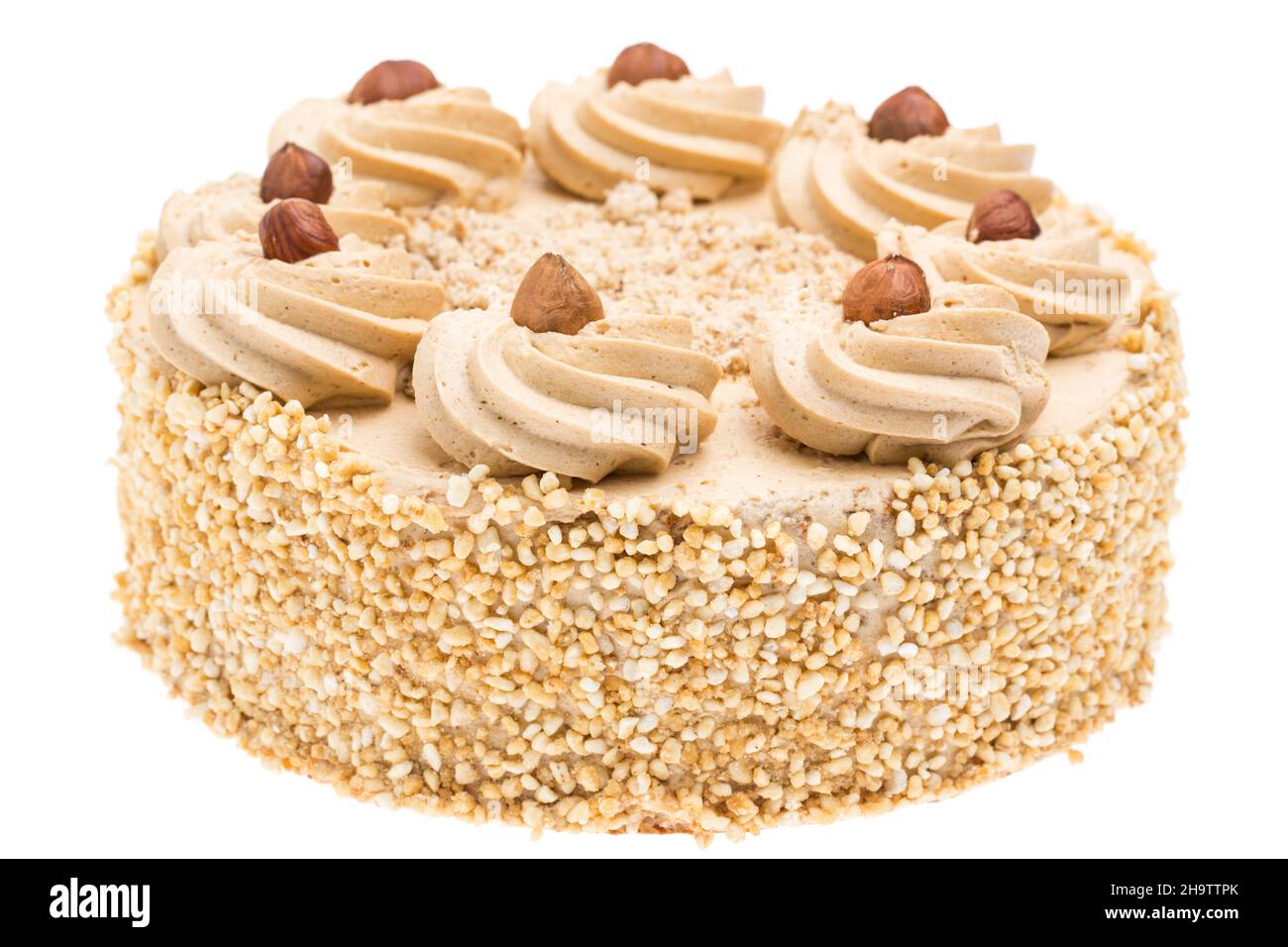 nut cake, walnut cake, walnut walnuts, nut, nuts, nutty, brittle, background, white, cake, decorating, cream, brown, dessert, optional, piece, real, f Stock Photo