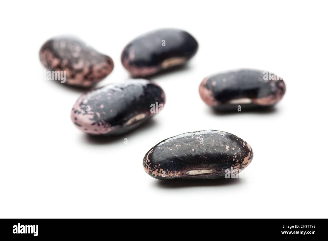 bean, beans, dark, white, background, horizontal, scarlet runner beans, shell, patterns, foods, carbohydrates, Styria, detail, details, close-up, shin Stock Photo