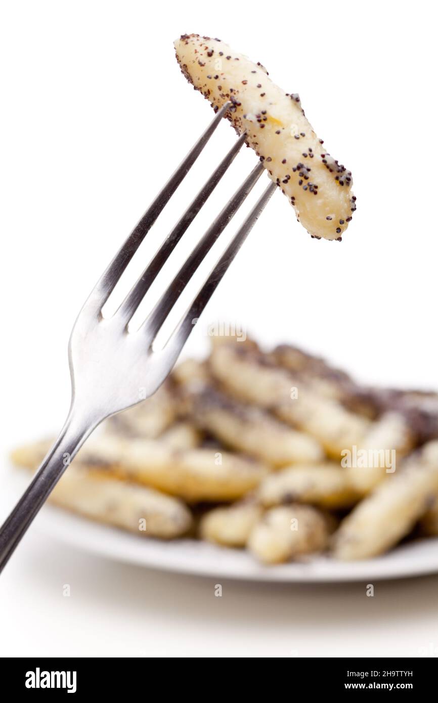 poppy seed noodles, white, fork, front, background, food, specialty, Austria, details, country life, plate, isolated, cut out, poppy, typical, sweet, Stock Photo