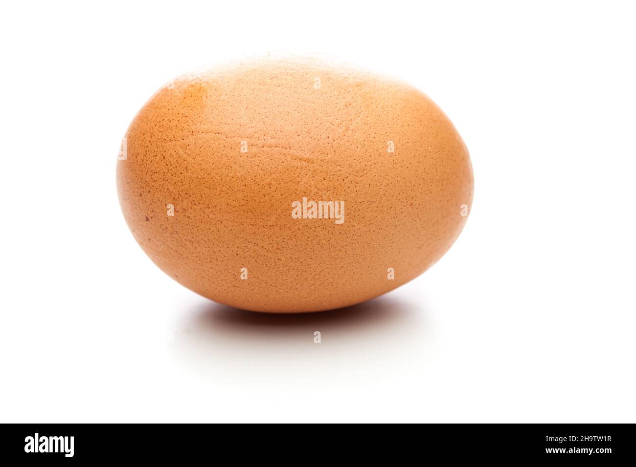 egg, brown, one, white, horizontal, single, food, background, optional, of course, animal, cholesterol, shades, a food isolated, 1, nature, alone, nat Stock Photo