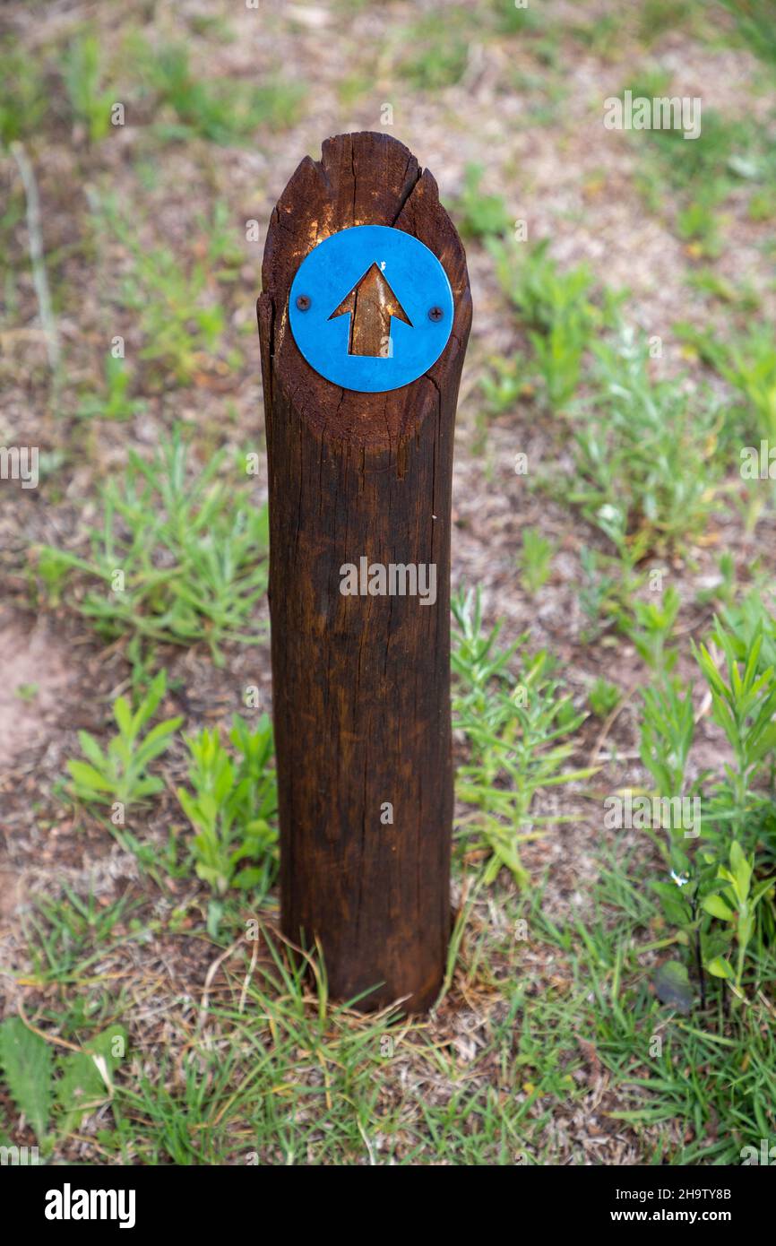 Wooden post with a blue plastic arrow pointing forward Stock Photo - Alamy