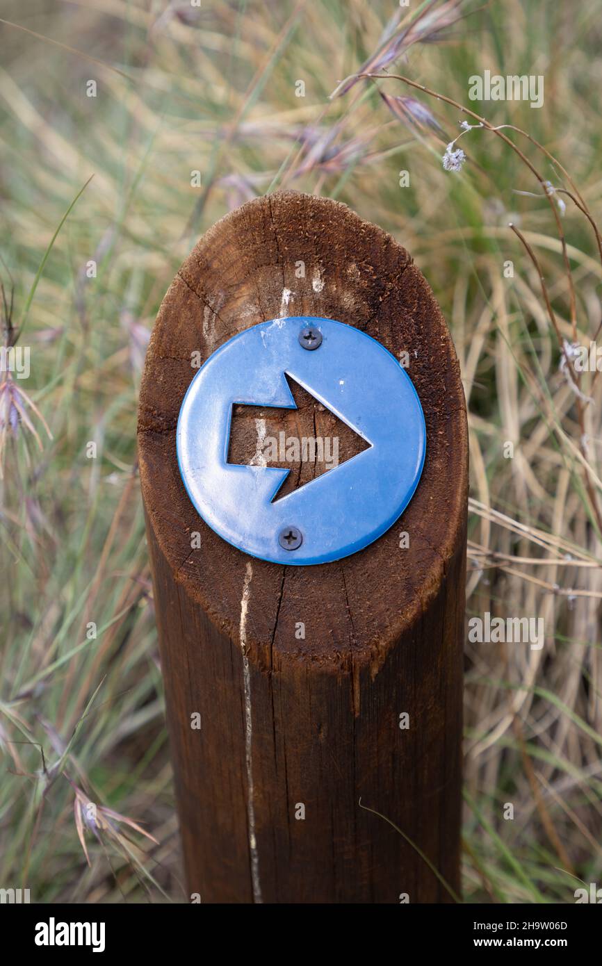 Blue plastic arrow mounted on a wooden pole Stock Photo
