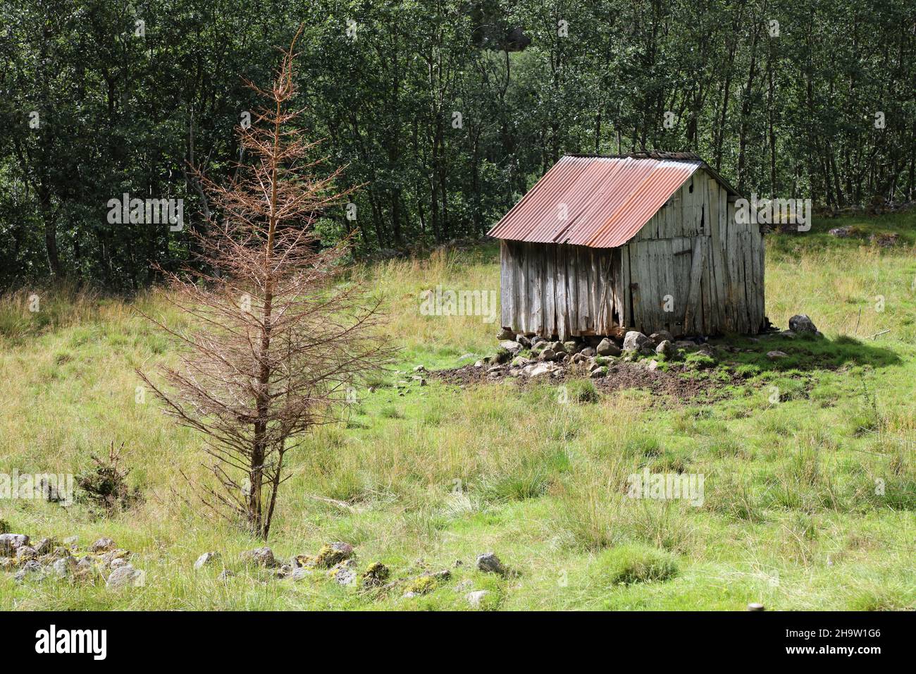 Scheune nahe Fresvik / Barn near Fresvik / Horreum vicinia Fresvik Stock Photo