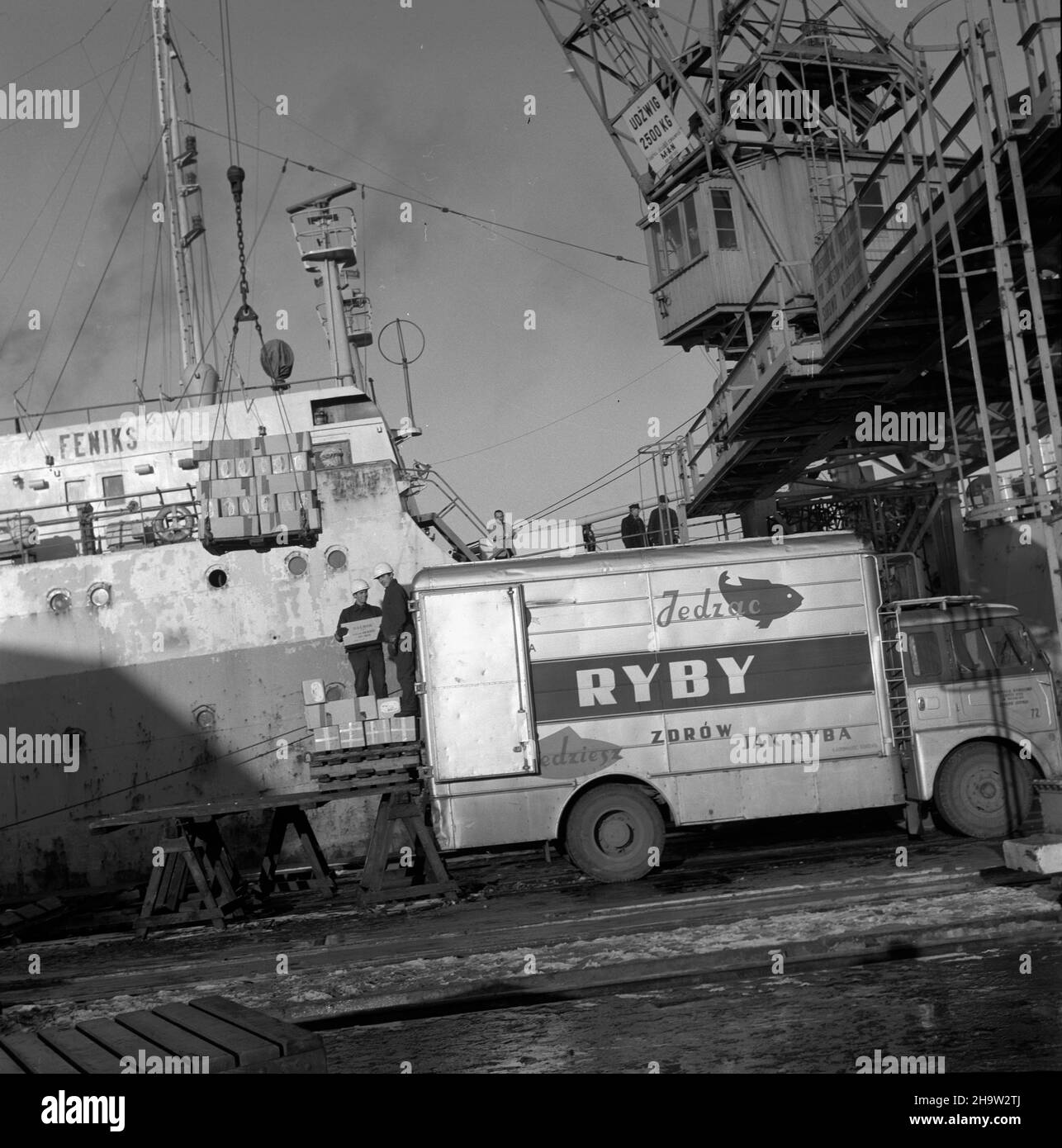 Gdynia, 1969-12. M/S Feniks, frachtowiec przedsiêbiorstwa DALMOR podczas wy³adunku ryb pochodz¹cych z Morza Barentsa. kw  PAP/Janusz Uklejewski  Dok³adny dzieñ wydarzenia nieustalony.      Gdynia, Dec. 1969. M/S Feniks, the freighter owned by the DALMOR enterprise, during unloading of fish from the Barents Sea.  kw  PAP/Janusz Uklejewski Stock Photo