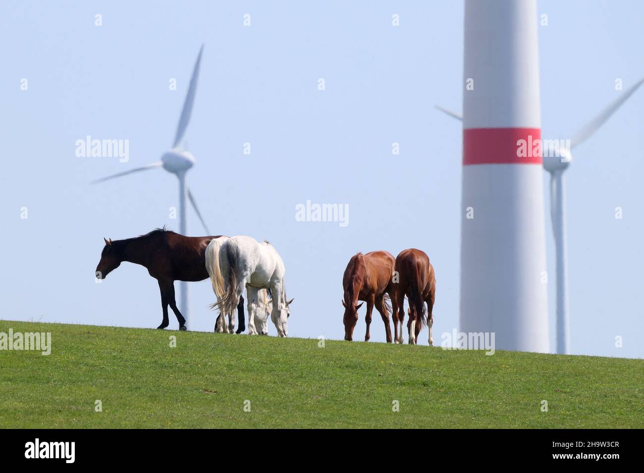 11 Wind Turbines High Resolution Stock Photography and Images - Alamy