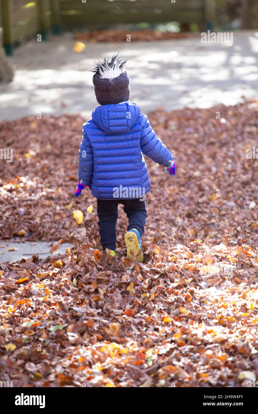 Kid backwards dressing blue winter jacket and hat running and playing over a brown carpet full of leaves outdoor winter scene Stock Photo