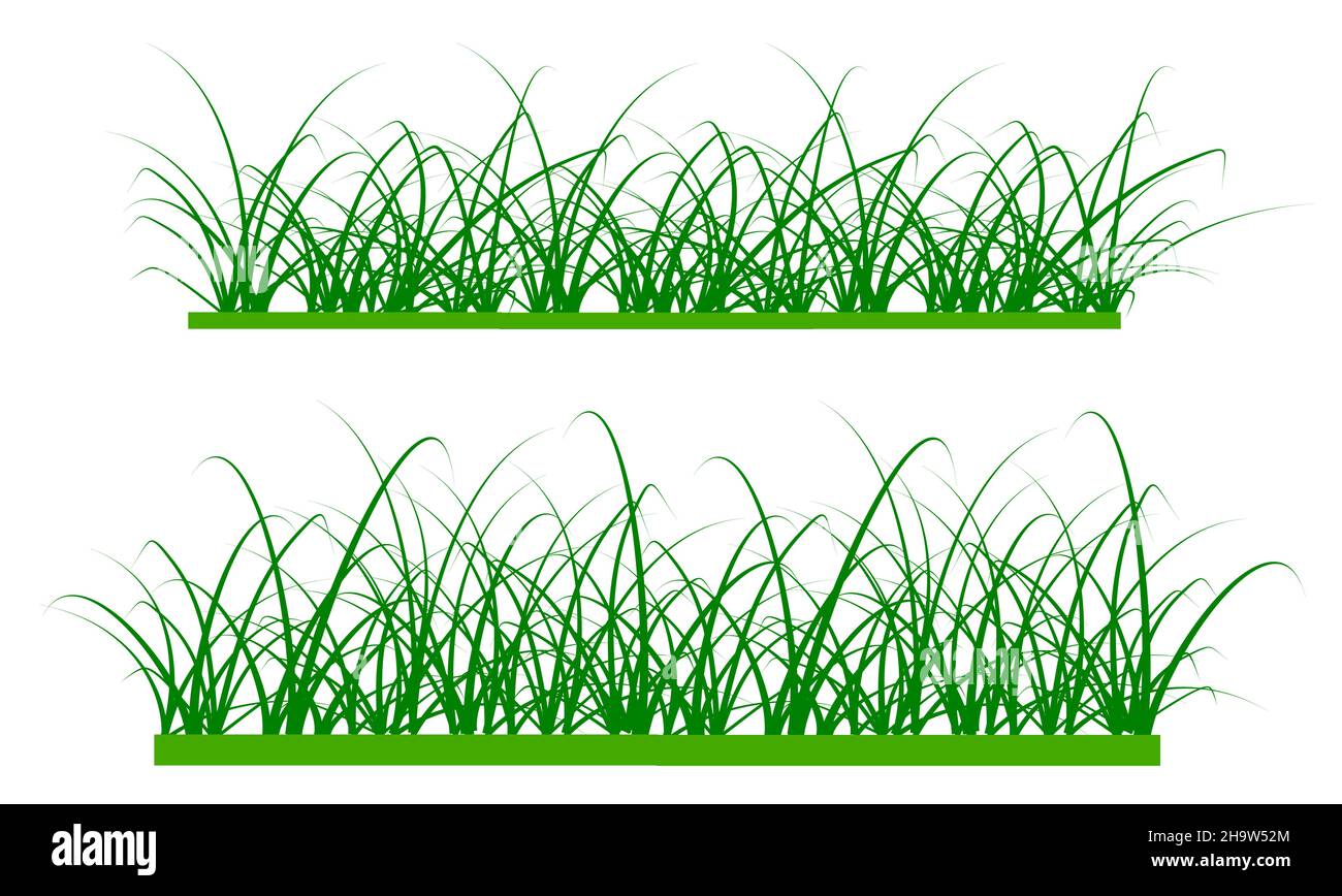 vector grass isolated on white background Stock Vector