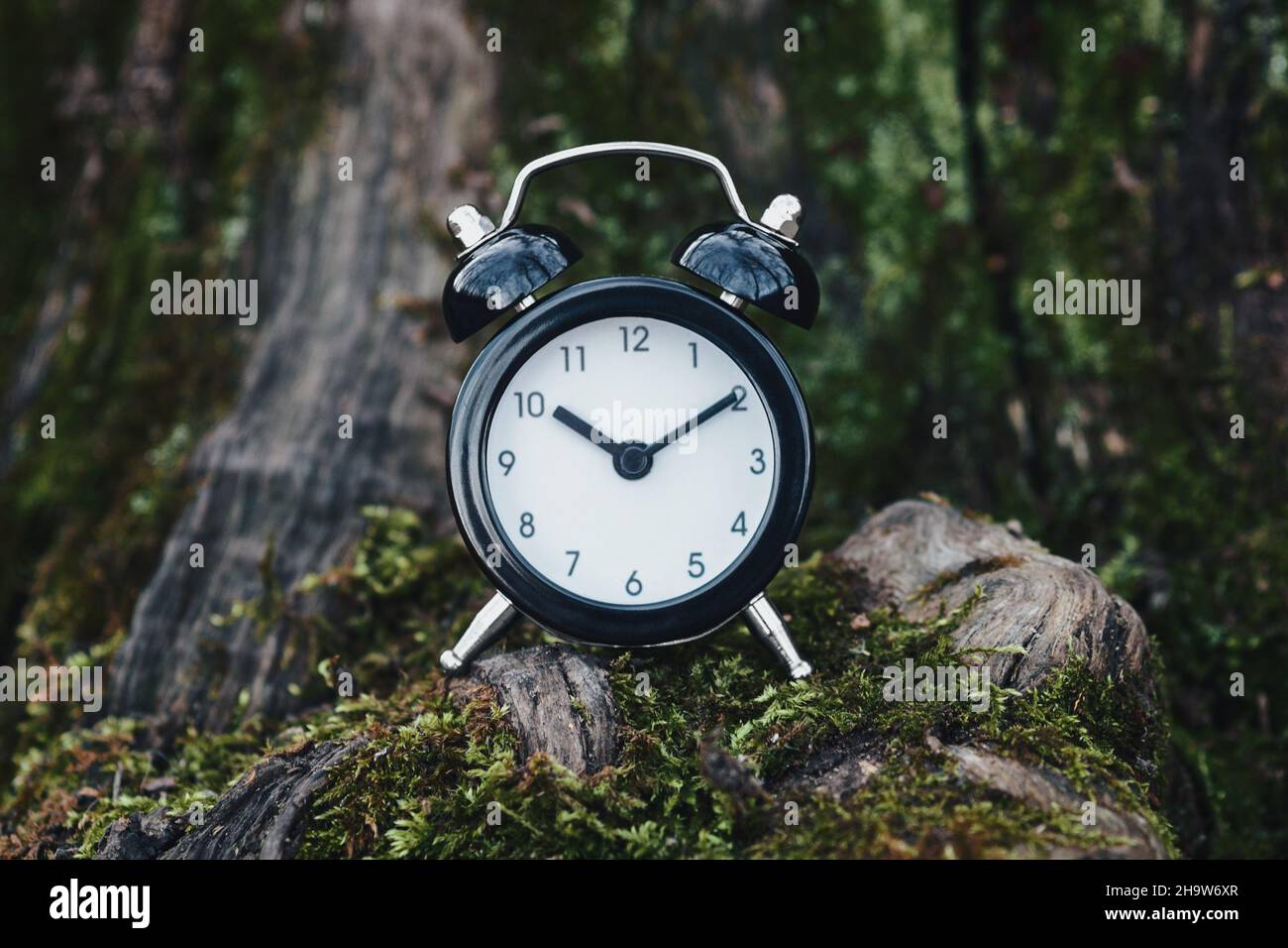 Clock in the forest, timebreak, spending time in nature and flow of time concept Stock Photo