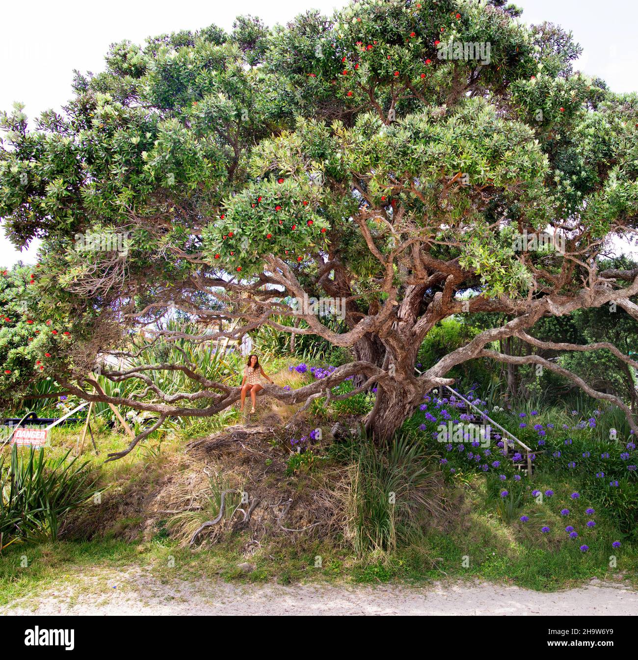 Beautiful view of a caucasian female sitting on a large tree branch ...