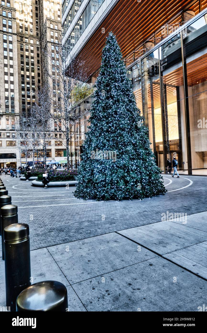 Christmas Tree on display in the new pedestrian plaza which separates