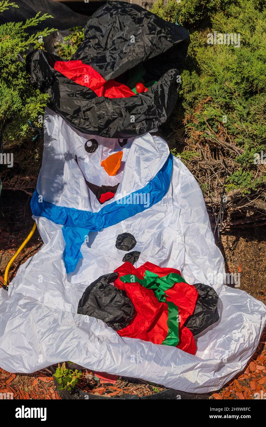 A deflated blow-up snowman in a front yard of a house in Santa Barbara County, California. Stock Photo