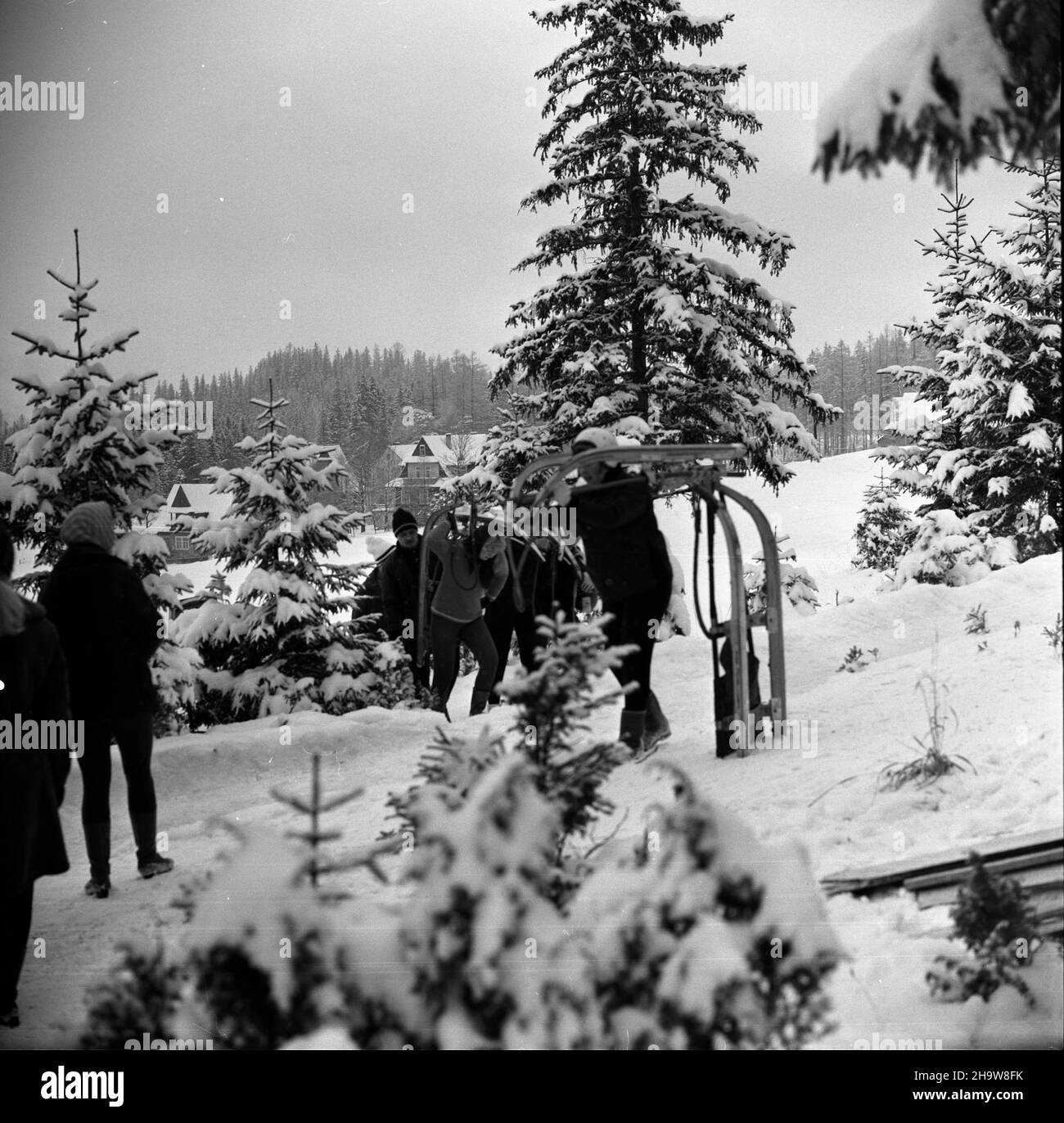 Zakopane, 1969-12-03. Od 2 XII 1969 r. kadra polskich saneczkarzy (seniorów i juniorów), pod kierunkiem Ryszarda Gurbowicza, trenowa³a na sztucznym torze, usypanym przez samych zawodników pod Krokwi¹. Nz. kadra juniorów podczas treningu. pw PAP/Tadeusz Olszewski Zakopane, Dec. 3, 1969. Since Dec. 2, 1969 the Polish luger teams, both senior and junior, did exercises under the direction of Ryszard Gurbowicz on the artificial luge track made by the competitors near the Krokwia jump. Pictured: junior lugers during the training. pw PAP/Tadeusz Olszewski Stock Photo