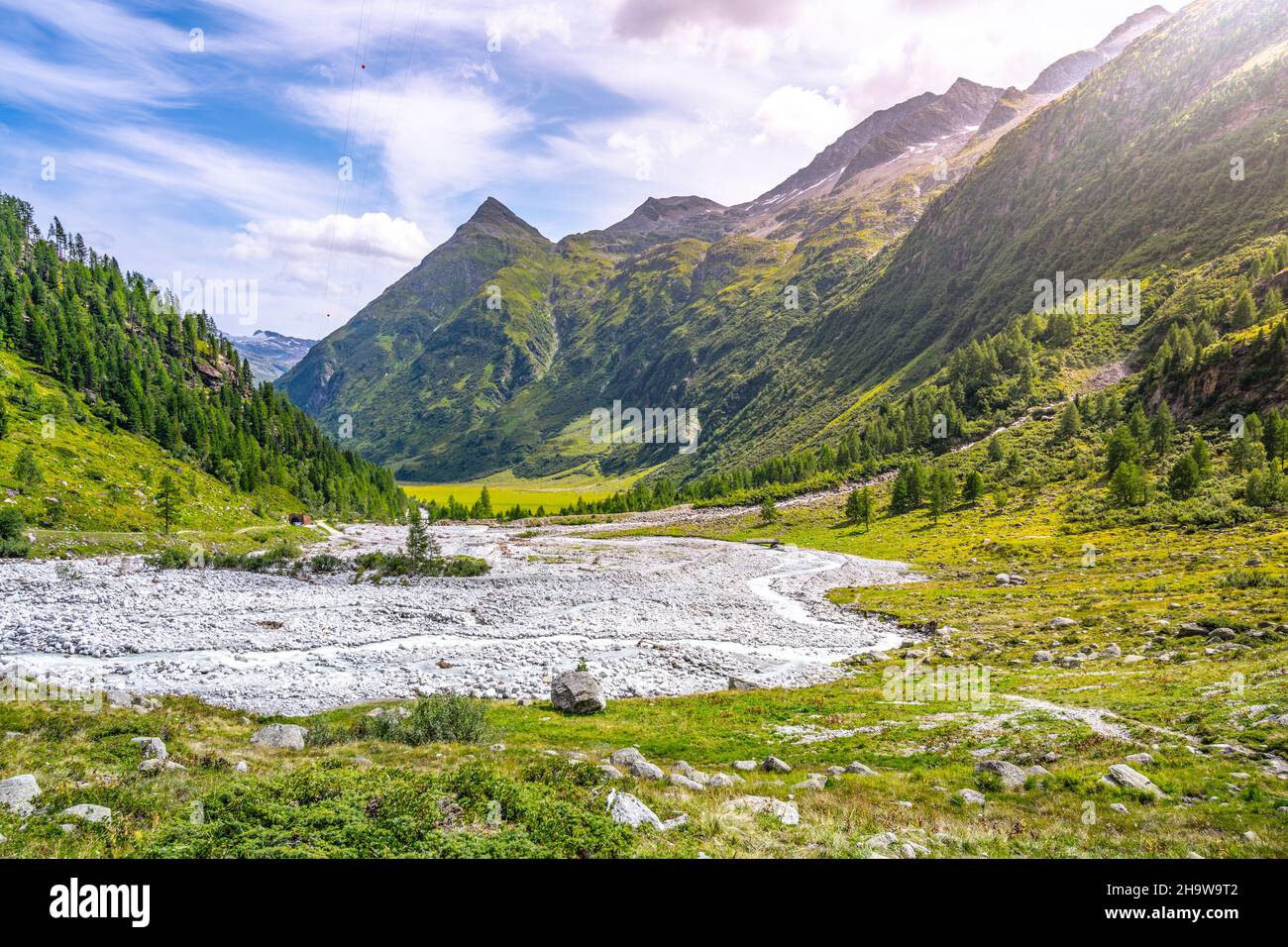 Green meadow in alpine valley Stock Photo Alamy