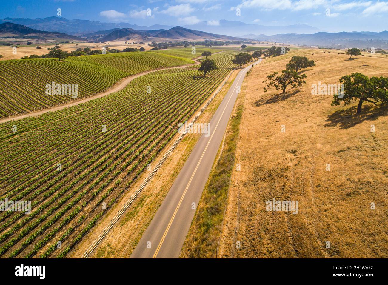 aerial view of vineyards along Happy Canyon Road in the Santa Ynez Valley, California Stock
