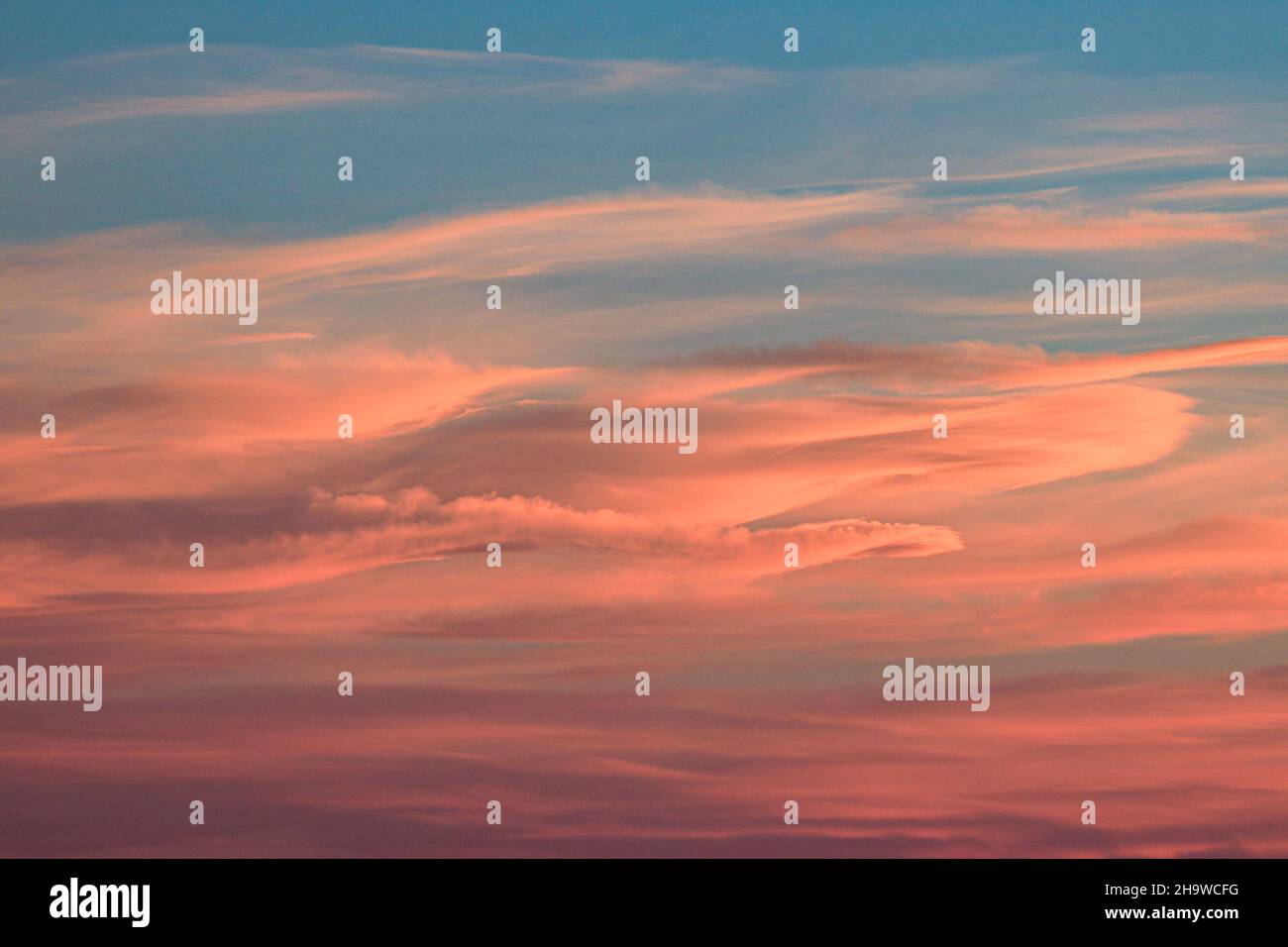 Pink clouds in the sky at sunset Stock Photo - Alamy